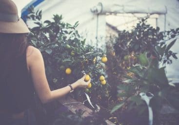 How to Strengthen Against Alzheimer's and Depression, and Improve Memory - Go Mediterranean